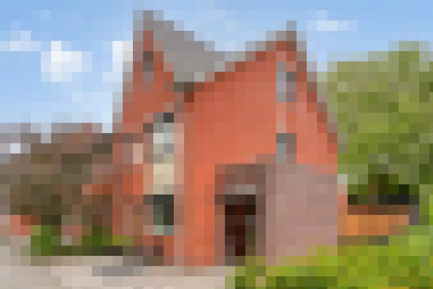 Hooftmanlaan 54 Alblasserdam thumbnail 4