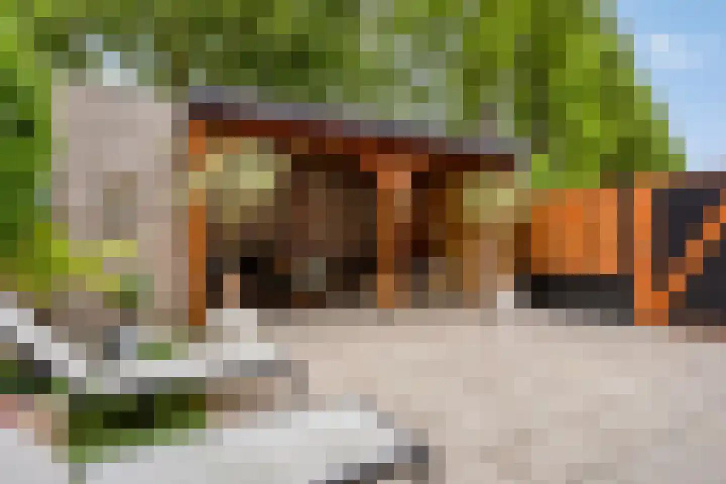 Hooftmanlaan 54 Alblasserdam thumbnail 44
