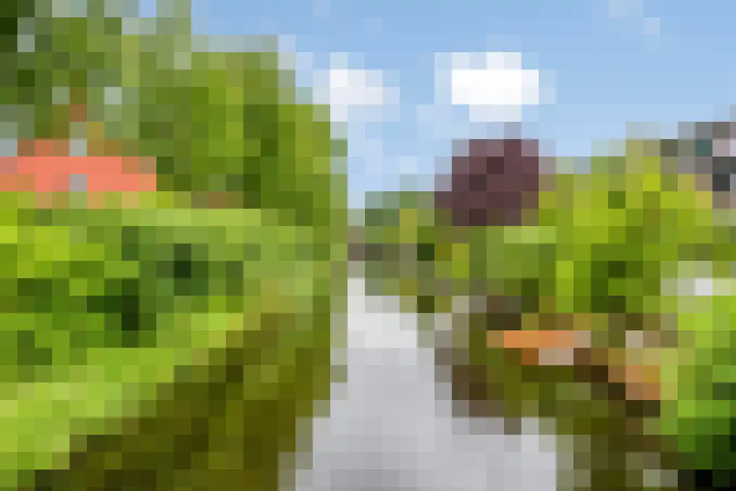 Hooftmanlaan 54 Alblasserdam thumbnail 58
