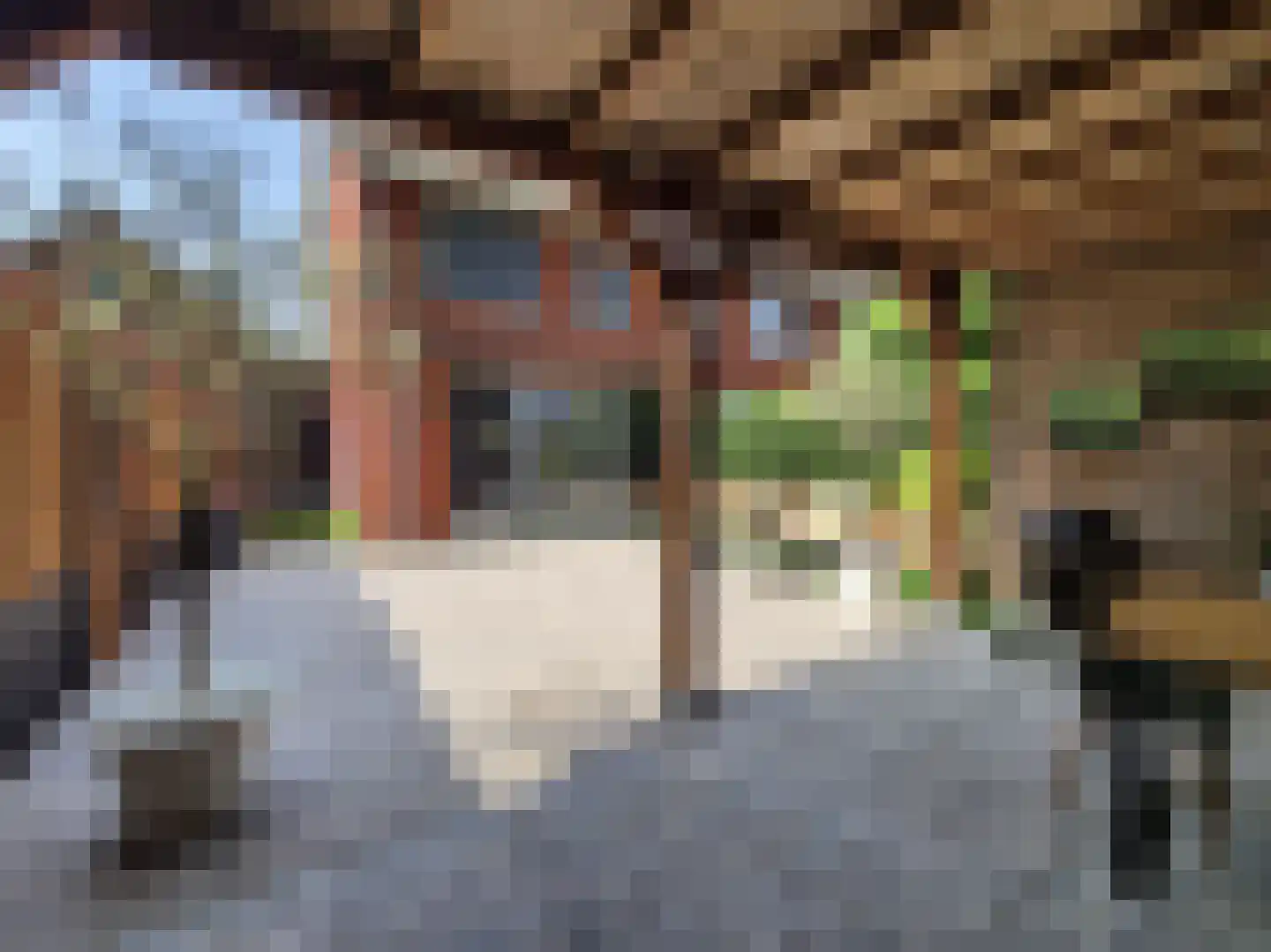 Hooftmanlaan 54 Alblasserdam thumbnail 63