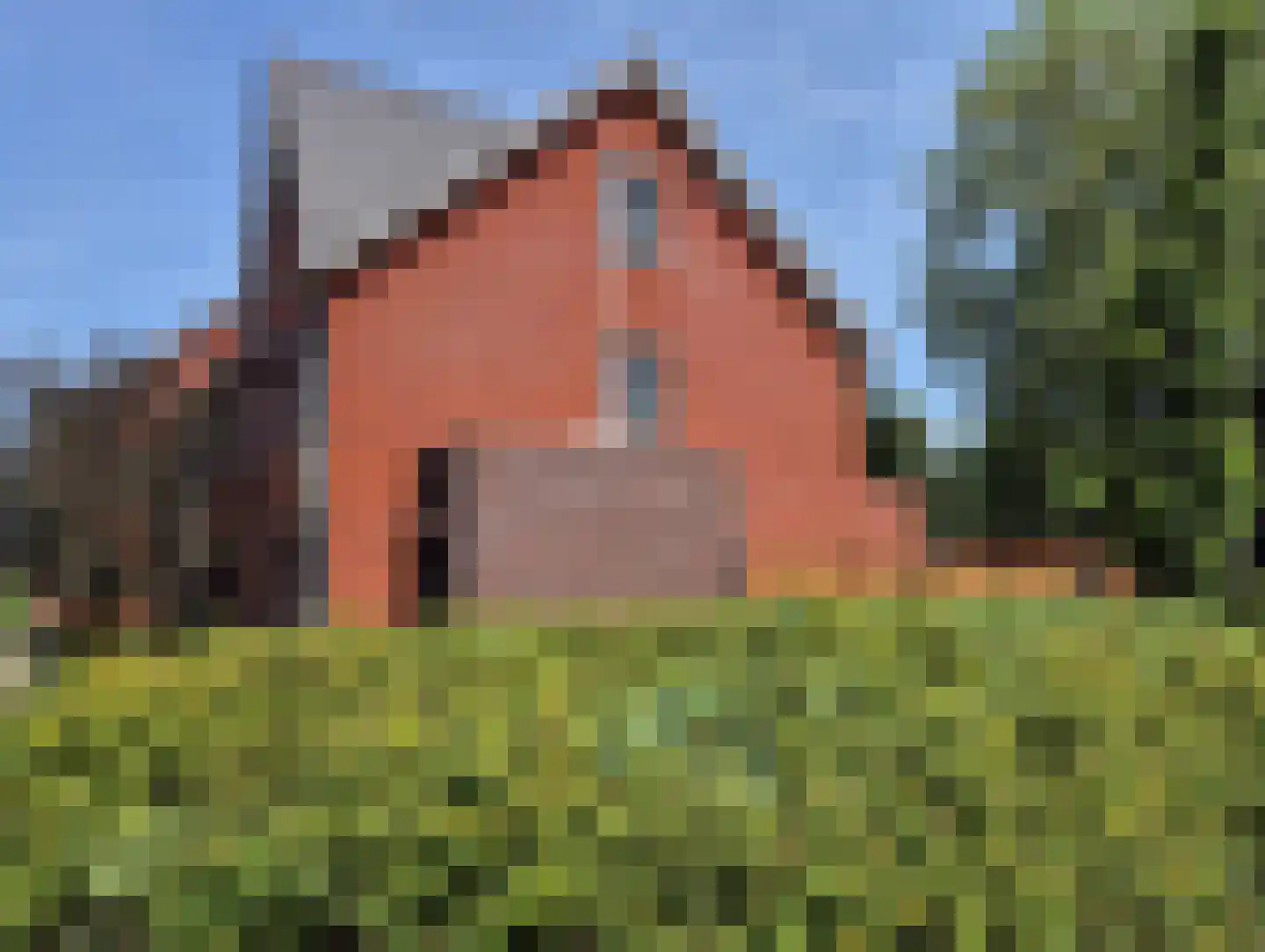 Hooftmanlaan 54 Alblasserdam thumbnail 65