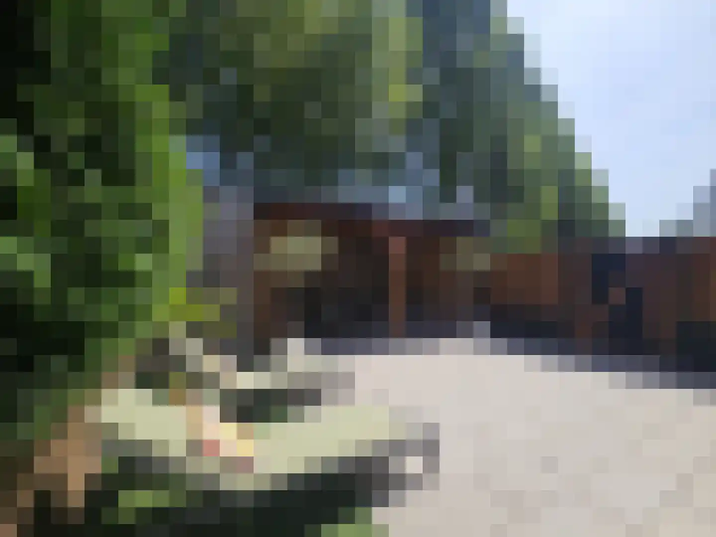 Hooftmanlaan 54 Alblasserdam thumbnail 72