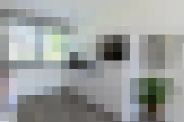 Hooftmanlaan 62 Alblasserdam thumbnail 12