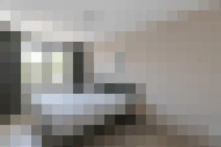 Hooftmanlaan 62 Alblasserdam thumbnail 13