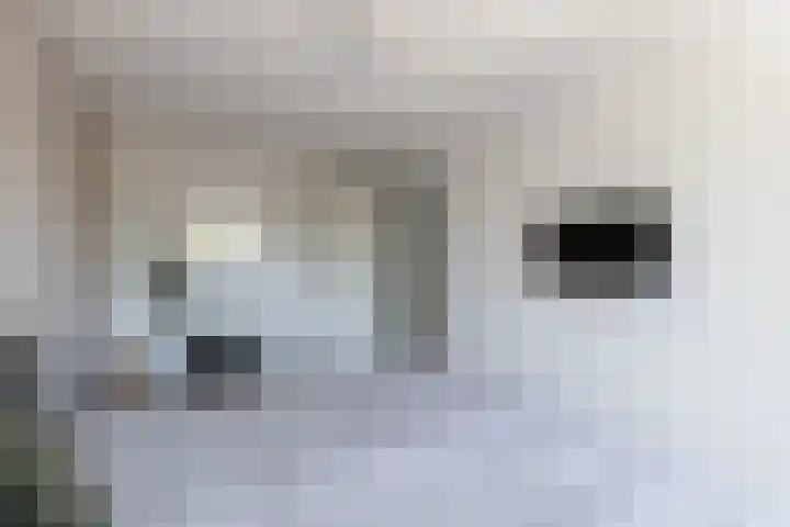 Hooftmanlaan 62 Alblasserdam thumbnail 14