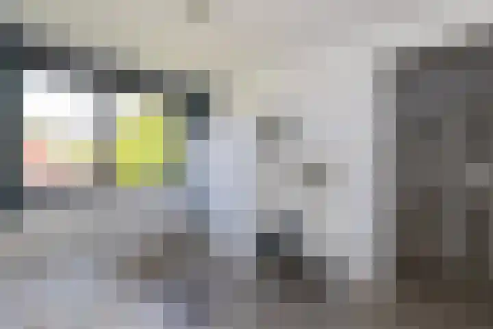Hooftmanlaan 62 Alblasserdam thumbnail 16