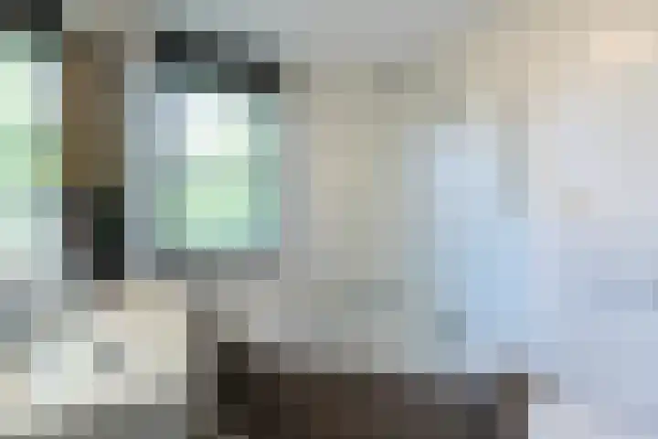 Hooftmanlaan 62 Alblasserdam thumbnail 19
