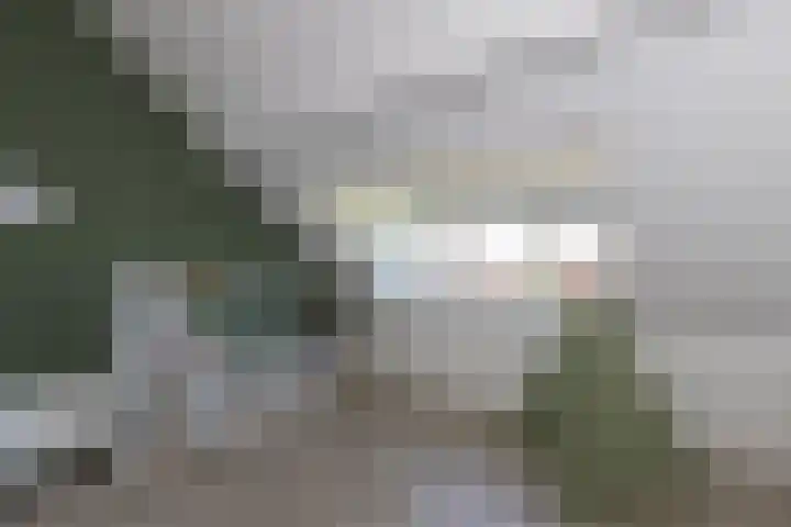 Hooftmanlaan 62 Alblasserdam thumbnail 22
