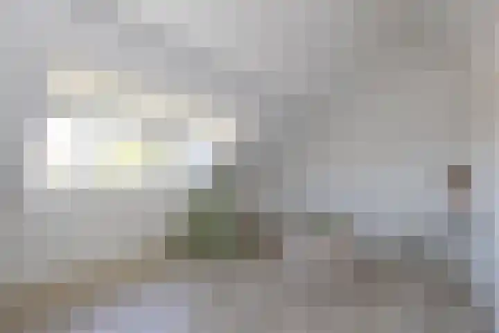 Hooftmanlaan 62 Alblasserdam thumbnail 23