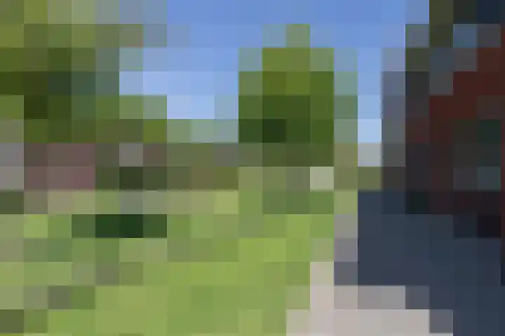 Hooftmanlaan 62 Alblasserdam thumbnail 5