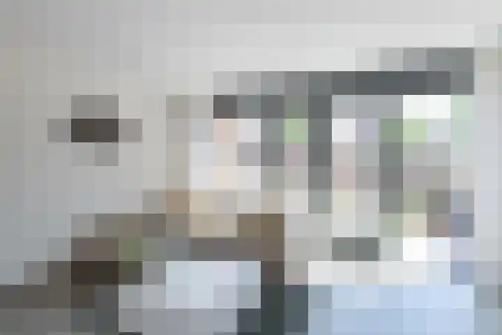 Hooftmanlaan 62 Alblasserdam thumbnail 8