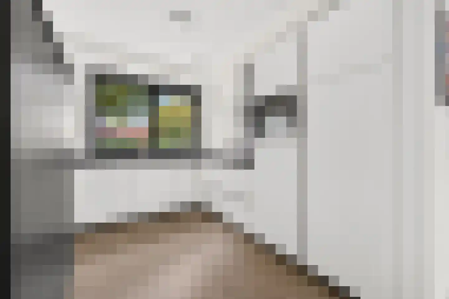 Hooftmanlaan 64 Alblasserdam thumbnail 20