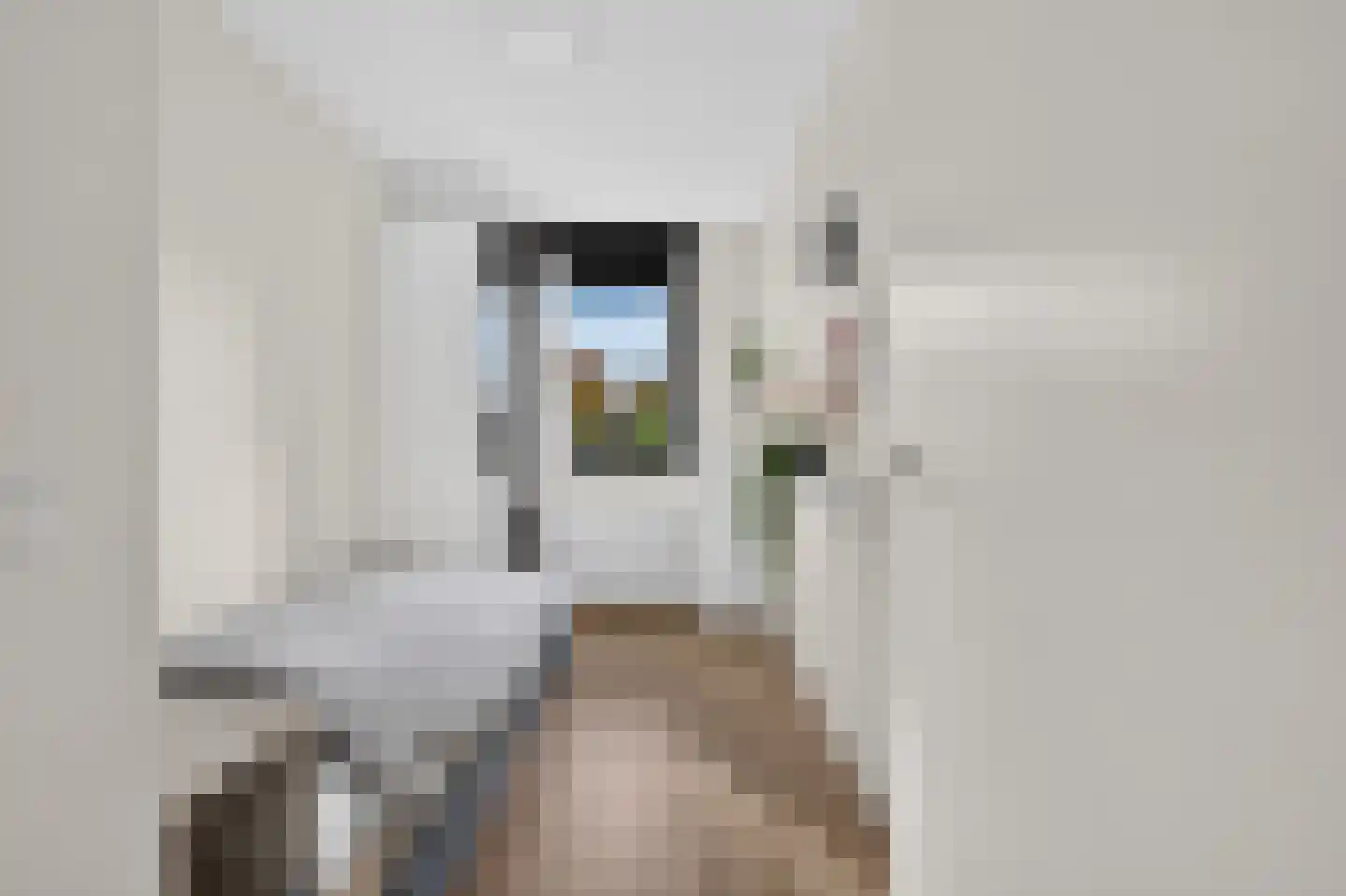 Hooftmanlaan 64 Alblasserdam thumbnail 23
