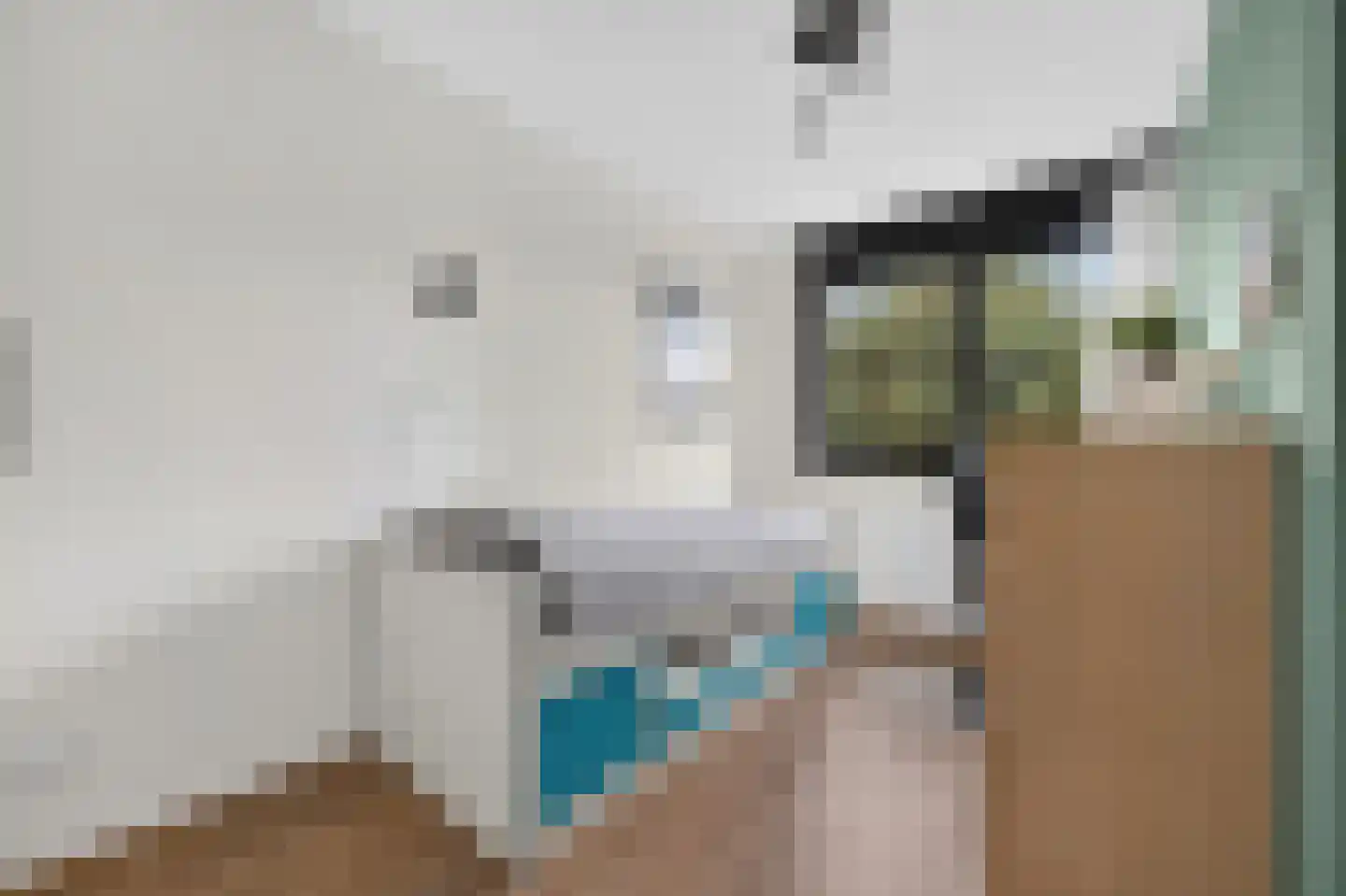 Hooftmanlaan 64 Alblasserdam thumbnail 28