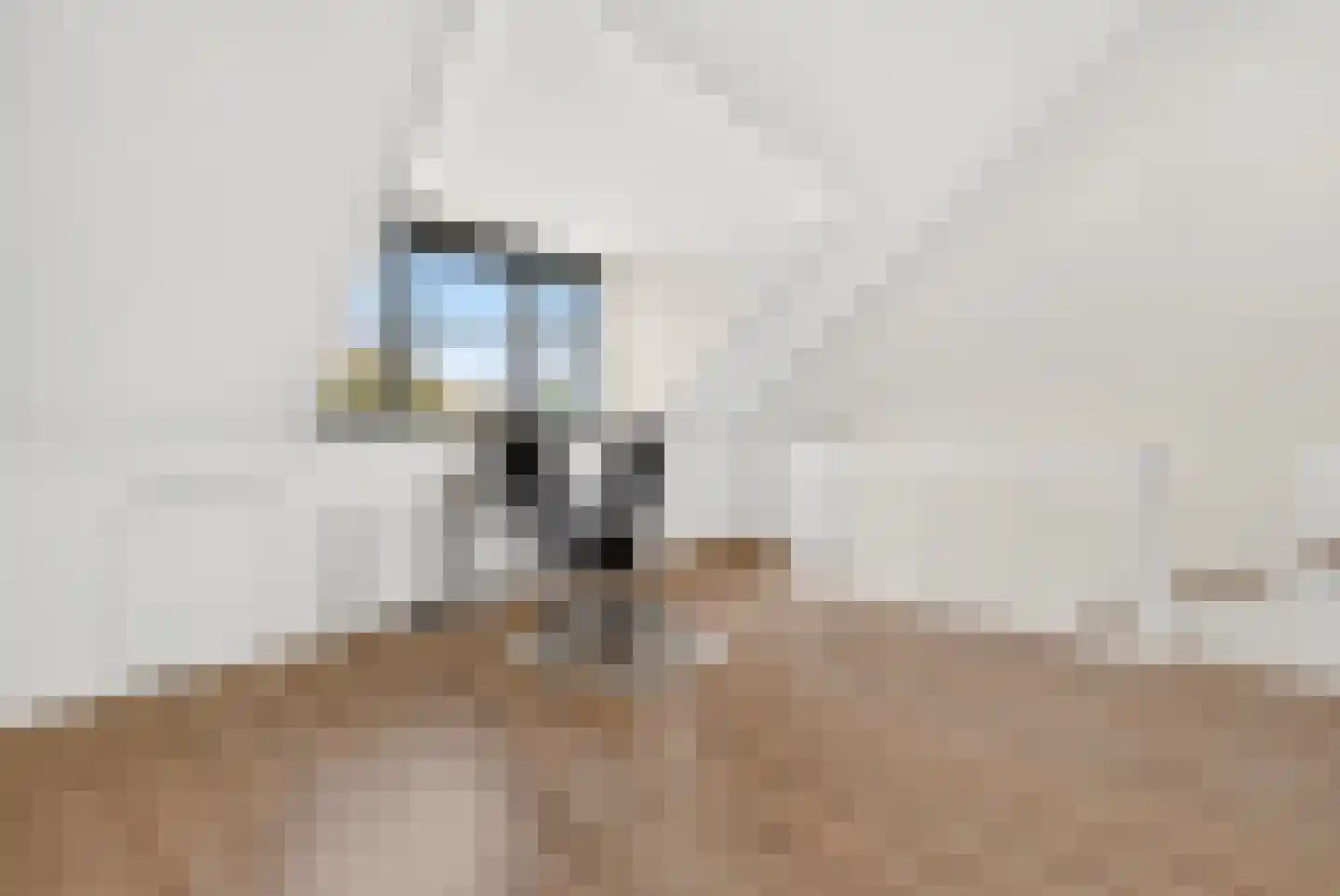 Hooftmanlaan 64 Alblasserdam thumbnail 34