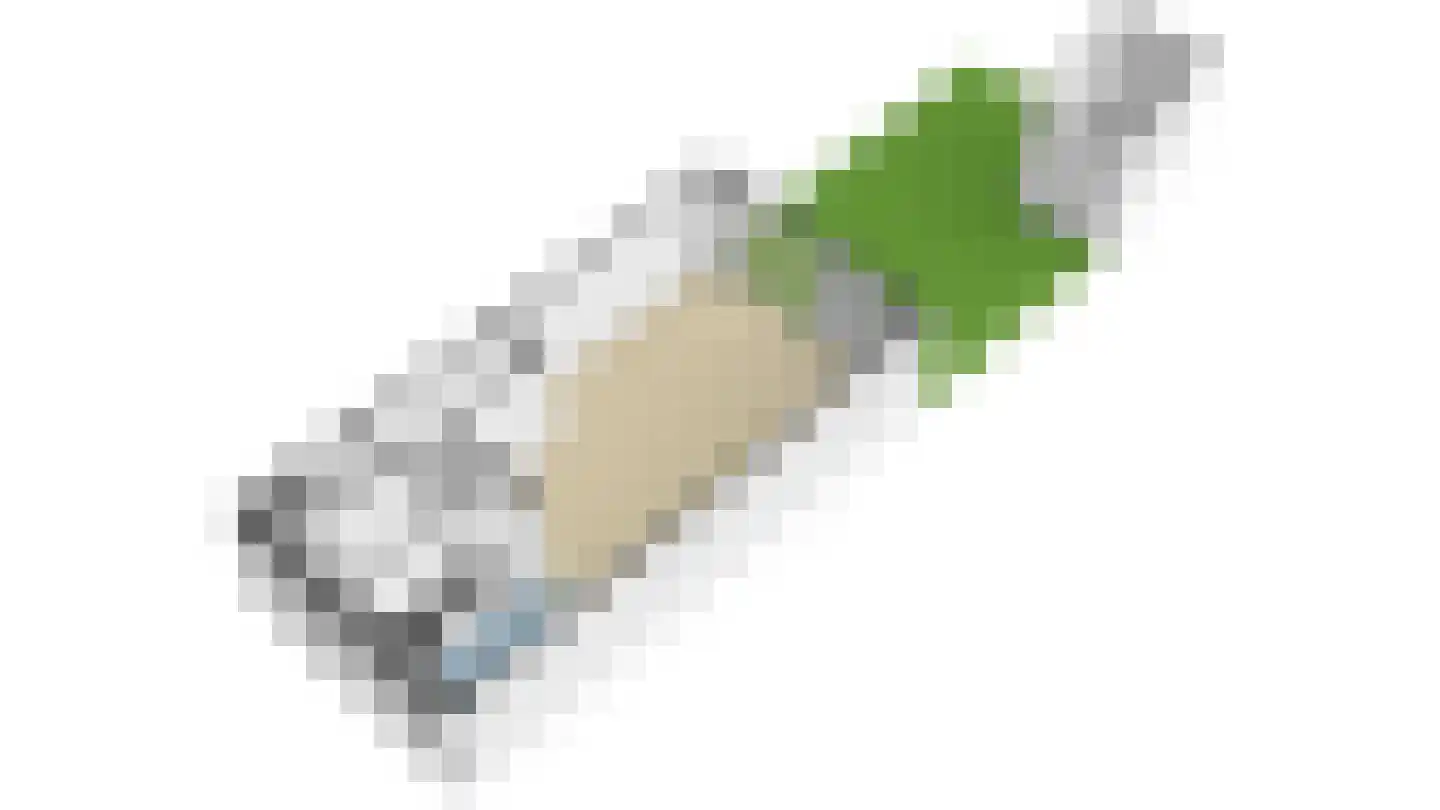 Hooftmanlaan 64 Alblasserdam thumbnail 59
