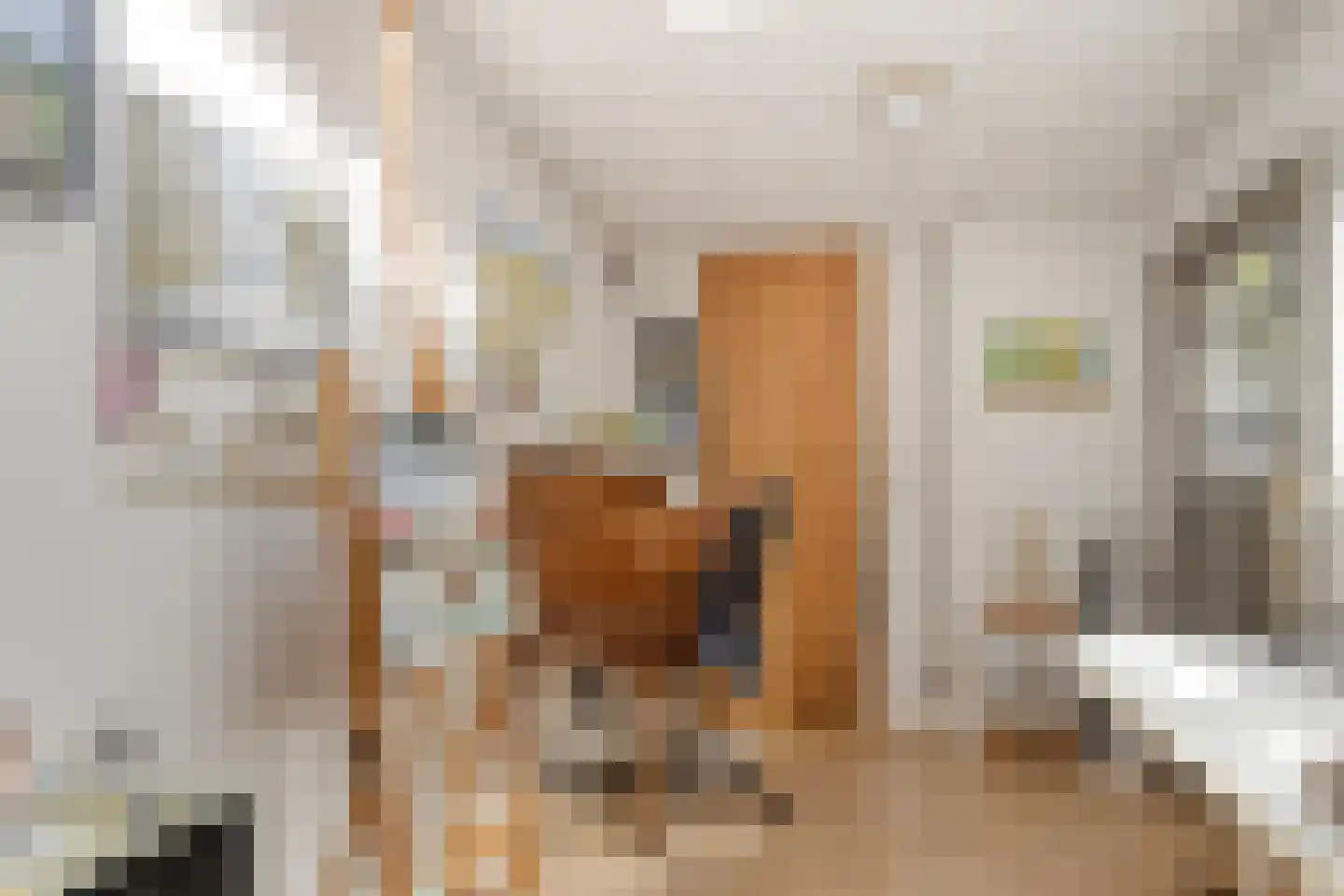 Hooftplein 15 Alkmaar thumbnail 20