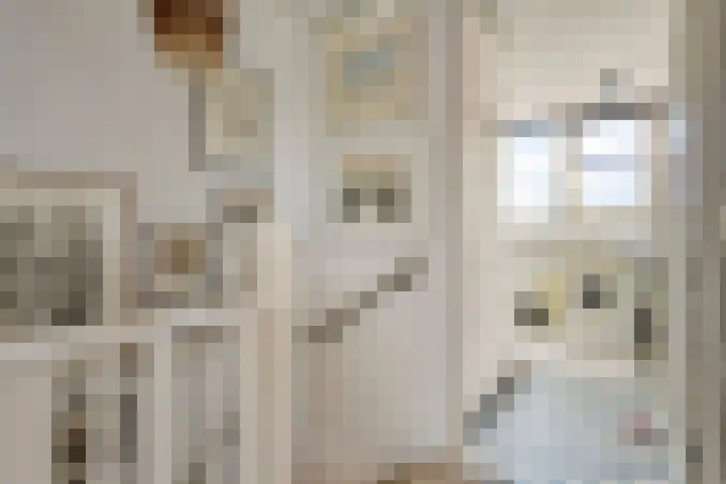 Hooftplein 15 Alkmaar thumbnail 22