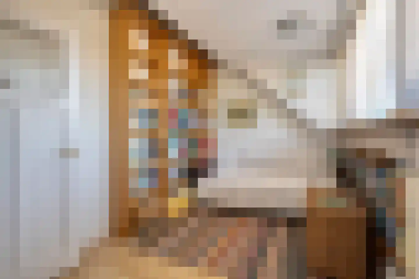 Hooftplein 15 Alkmaar thumbnail 27