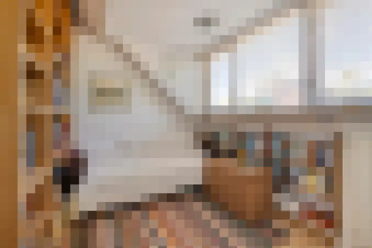 Hooftplein 15 Alkmaar thumbnail 28