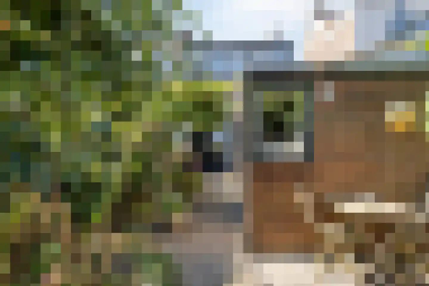 Hooftplein 15 Alkmaar thumbnail 35