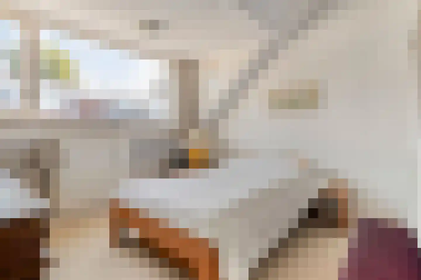 Hooftplein 15 Alkmaar thumbnail 5