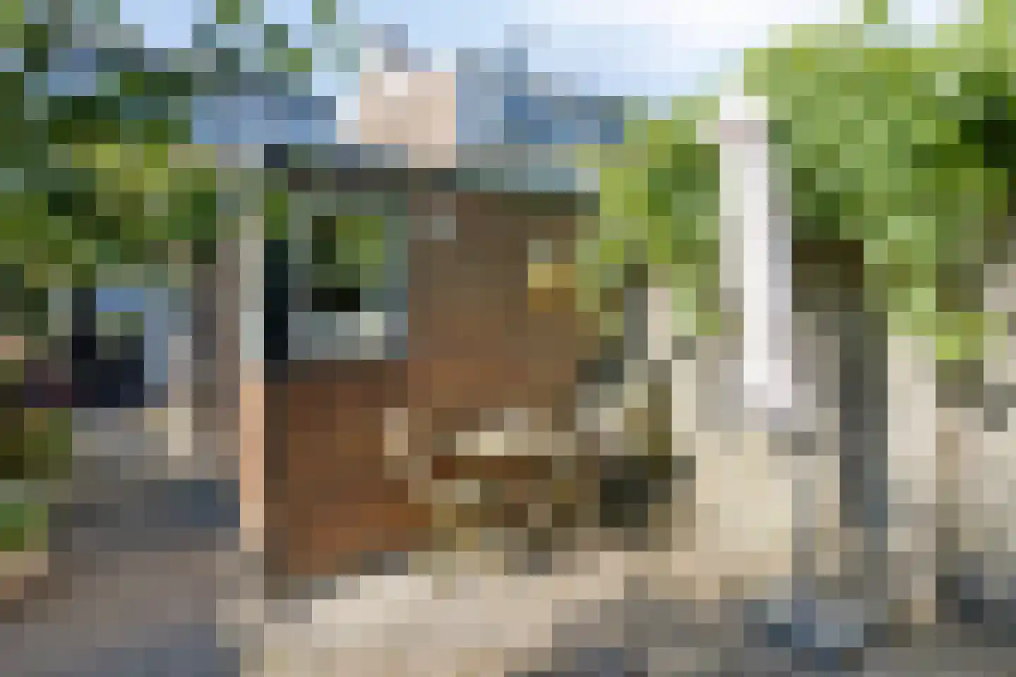 Hooftplein 15 Alkmaar thumbnail 7