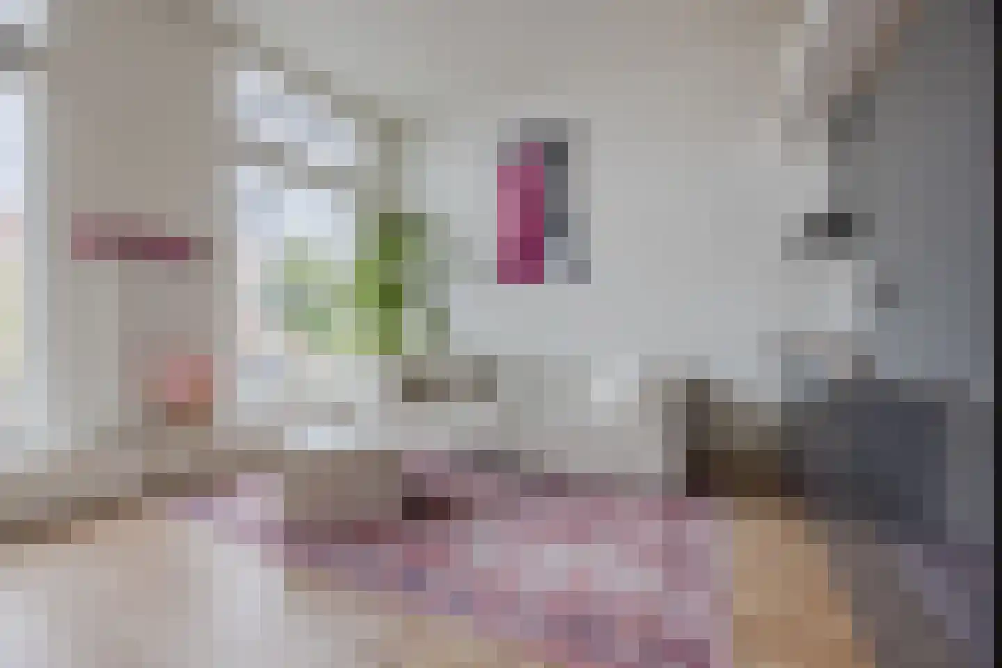 Hooftskade 117 B Den Haag thumbnail 11