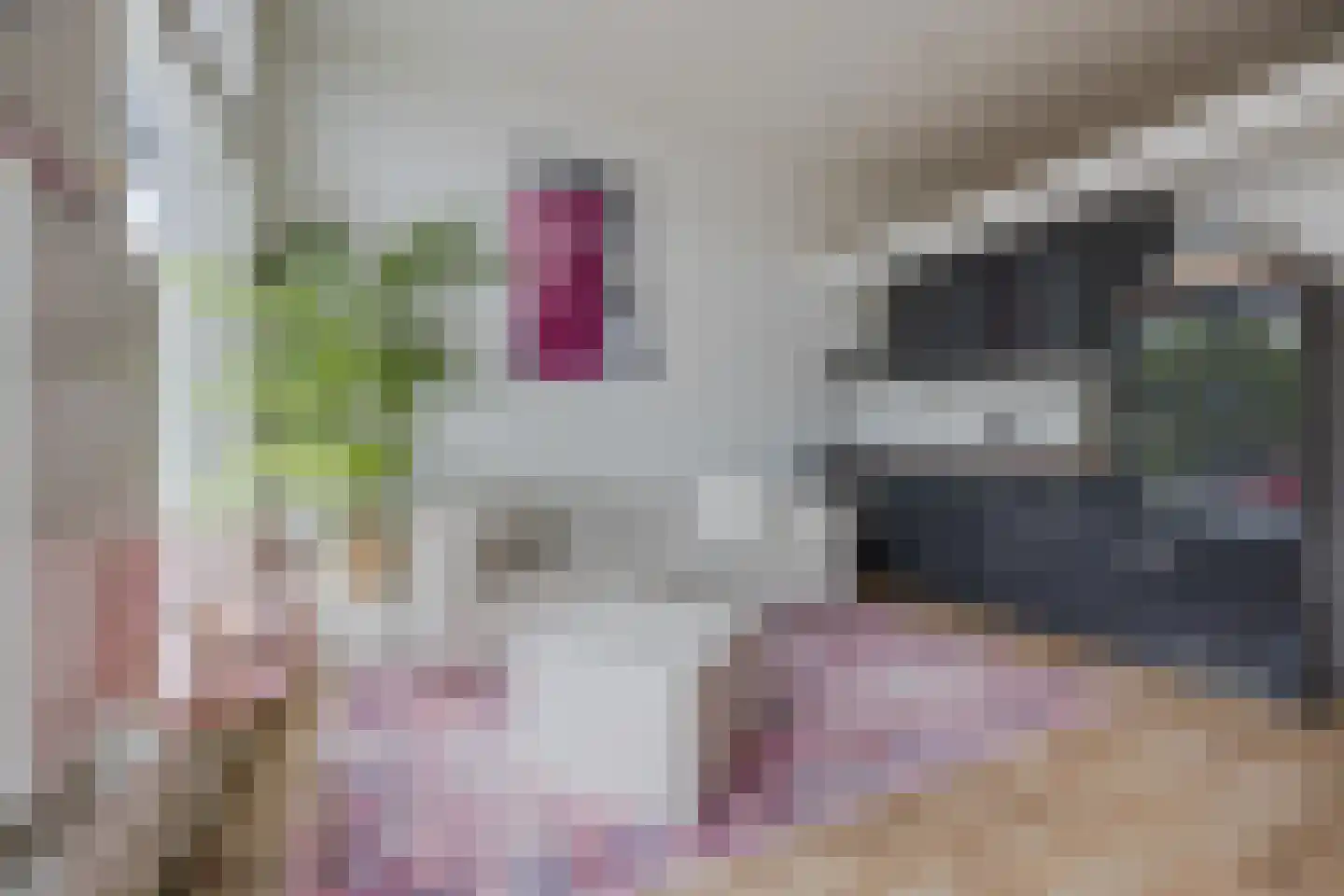 Hooftskade 117 B Den Haag thumbnail 13