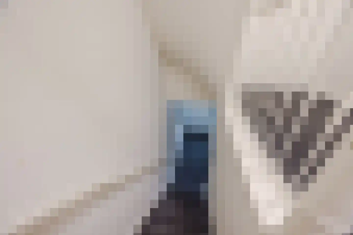 Hooftskade 117 B Den Haag thumbnail 6