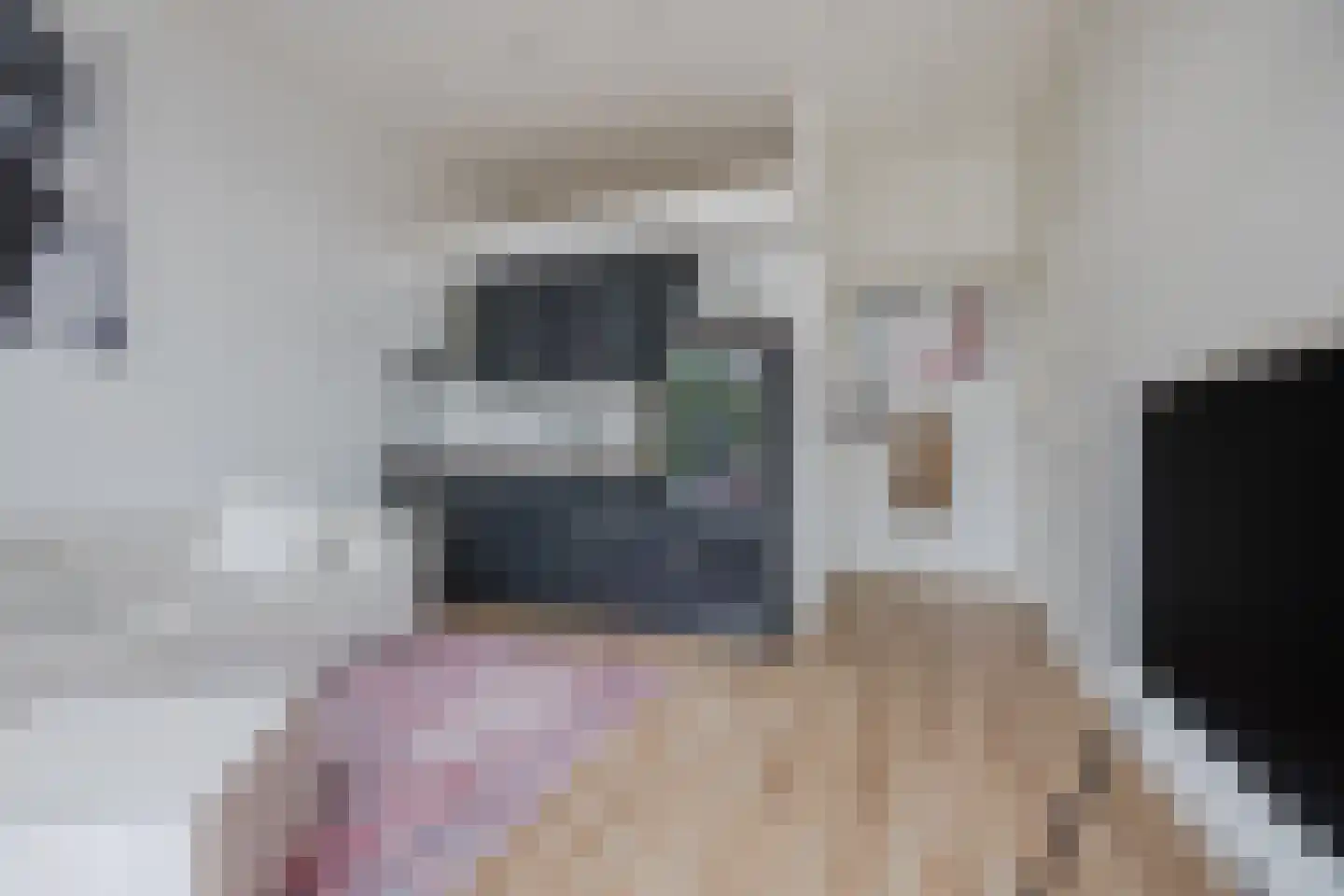 Hooftskade 117 B Den Haag thumbnail 8