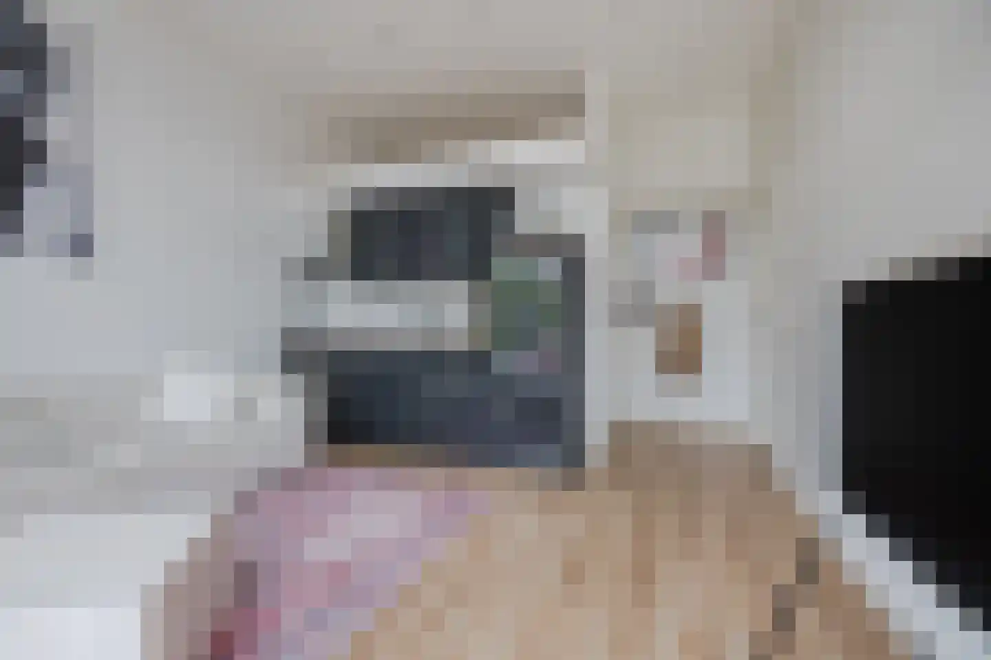 Hooftskade 117 B Den Haag thumbnail 8