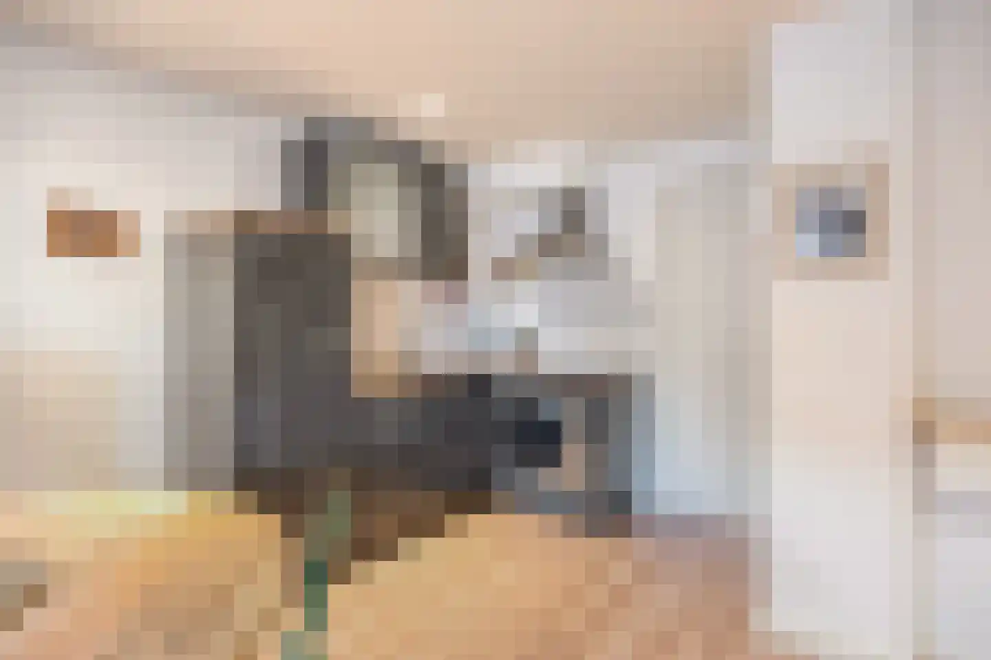 Hooftskade 117 Den Haag thumbnail 6