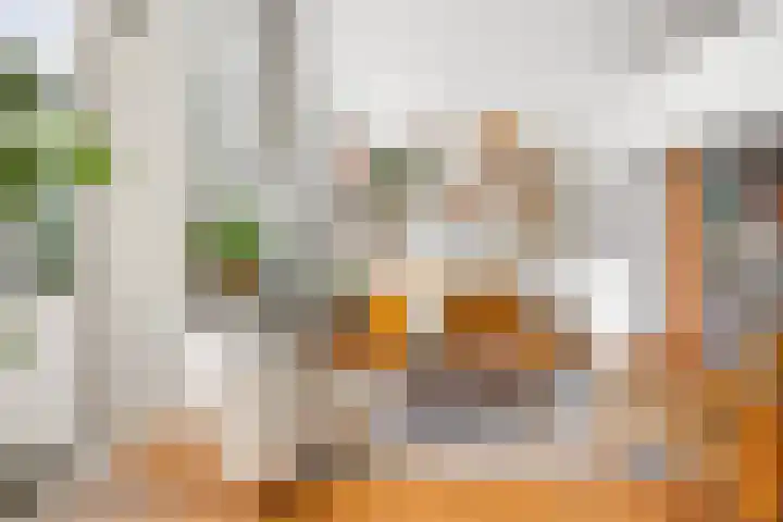 Hooftskade 18 Den Haag thumbnail 10