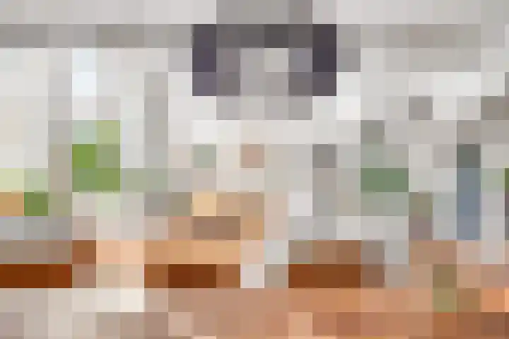 Hooftskade 18 Den Haag thumbnail 11