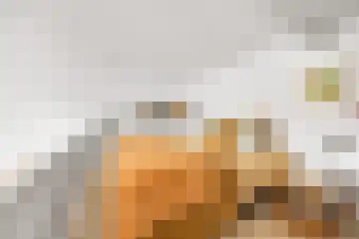 Hooftskade 18 Den Haag thumbnail 23