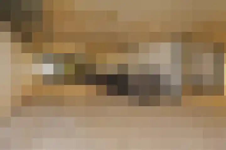 Hooftskade 18 Den Haag thumbnail 29