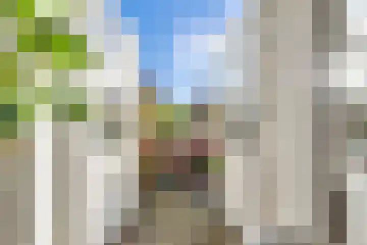 Hooftskade 18 Den Haag thumbnail 31