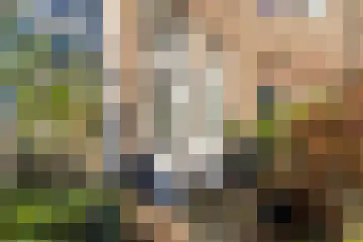 Hooftskade 18 Den Haag thumbnail 32