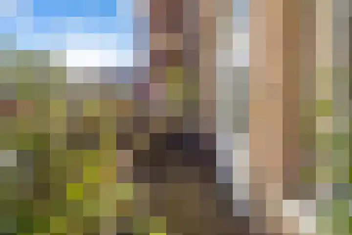 Hooftskade 18 Den Haag thumbnail 33
