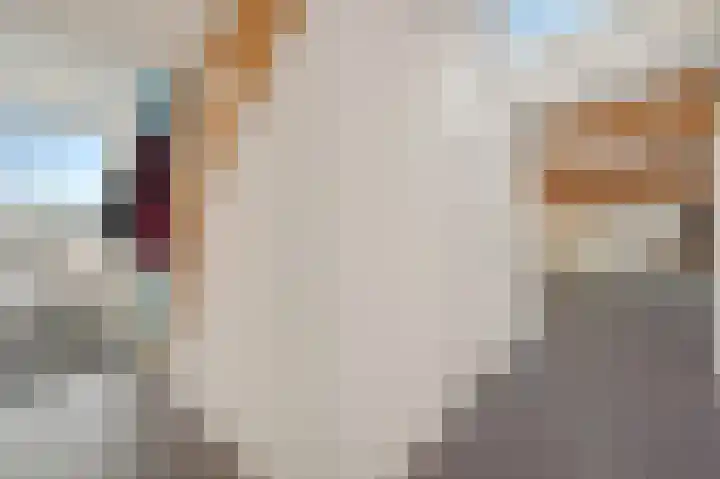 Hooftskade 24 Den Haag thumbnail 11