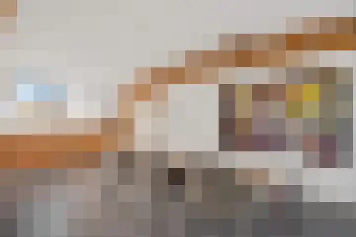 Hooftskade 24 Den Haag thumbnail 19