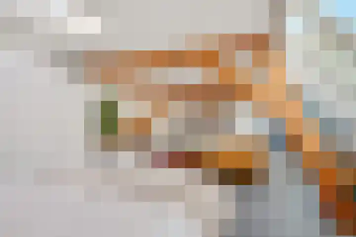 Hooftskade 24 Den Haag thumbnail 28