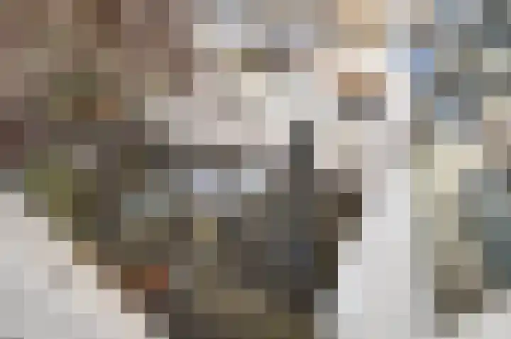 Hooftskade 24 Den Haag thumbnail 33