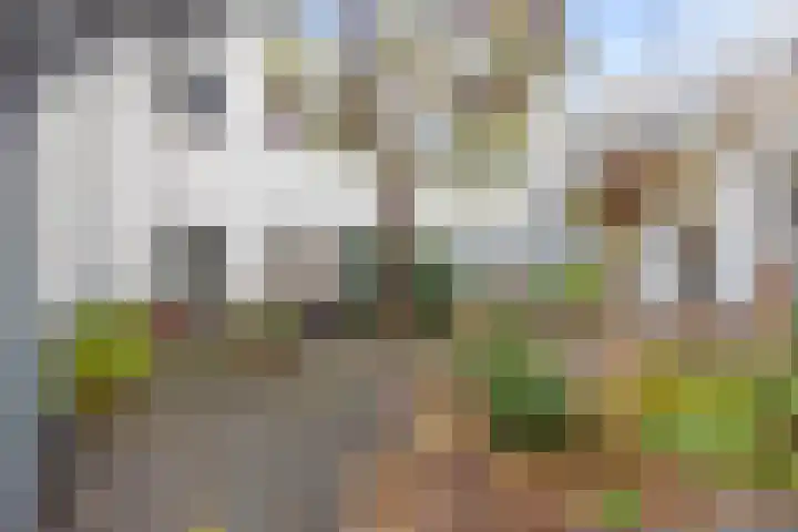 Hooftskade 24 Den Haag thumbnail 9