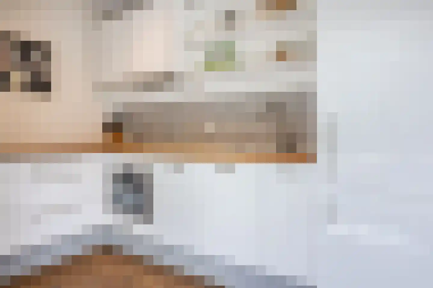 Hooftskade 55 Den Haag thumbnail 22