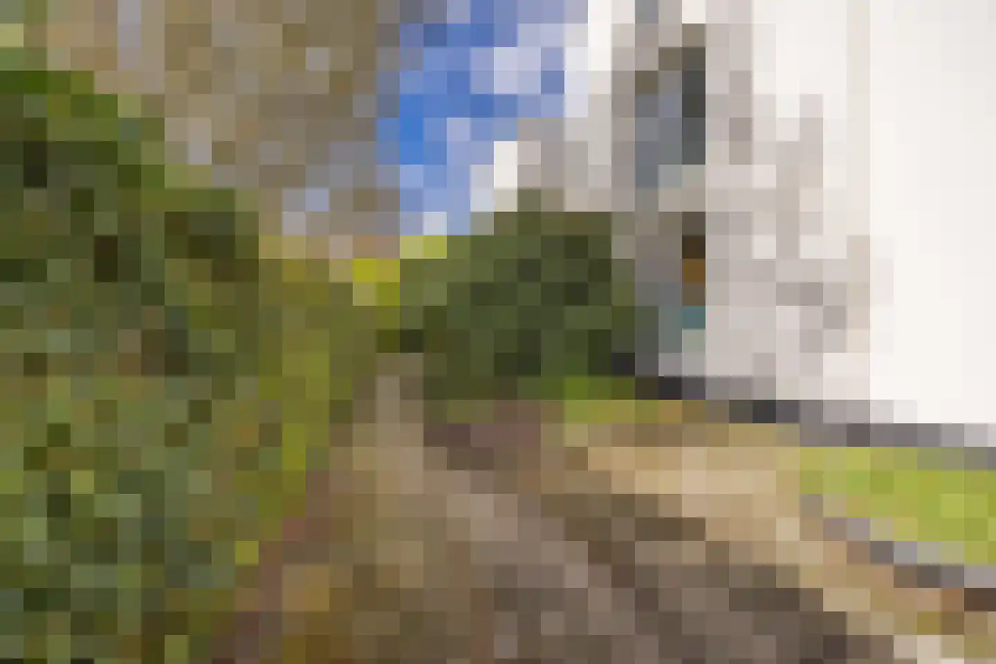 Hooftskade 55 Den Haag thumbnail 34