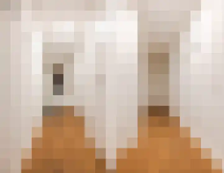 Hooftskade 55 Den Haag thumbnail 9