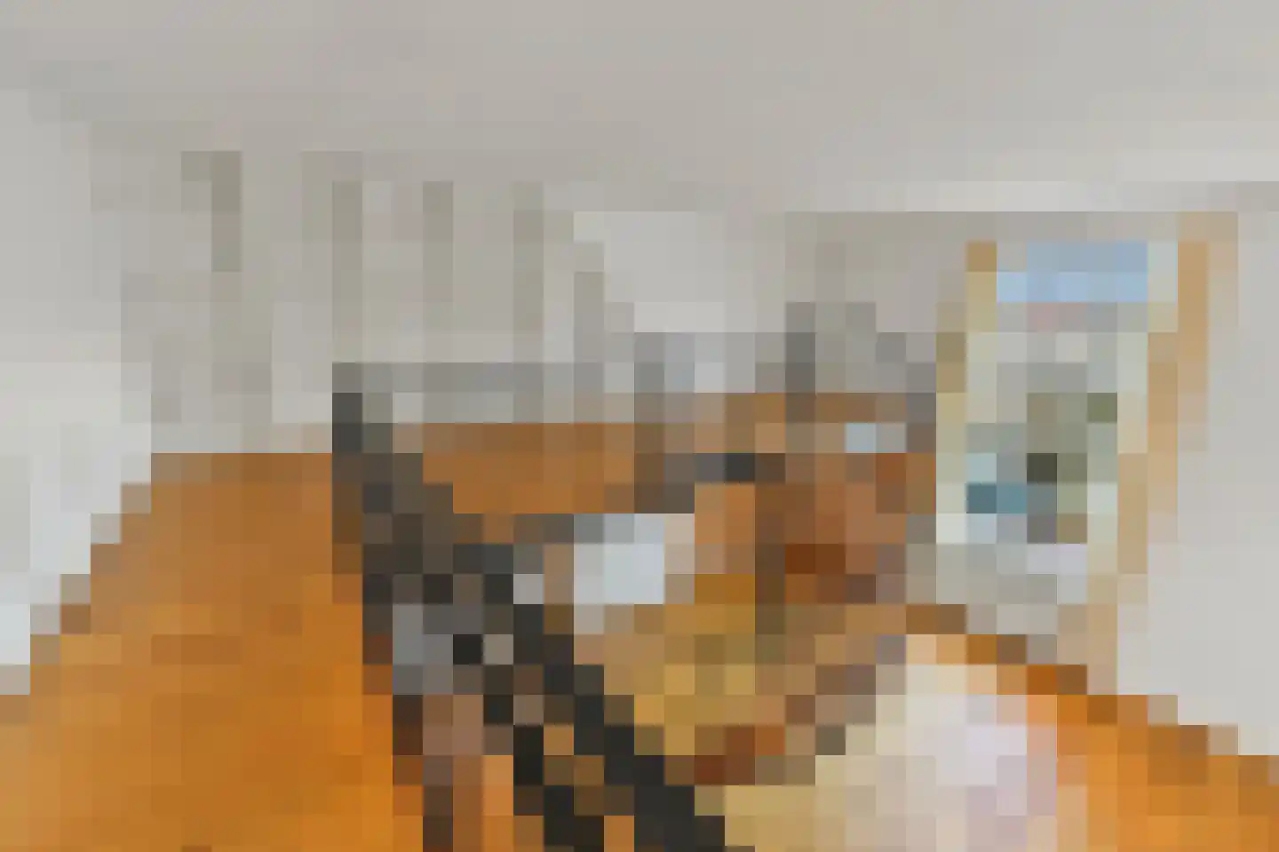 Hooftskade 71 Den Haag thumbnail 21