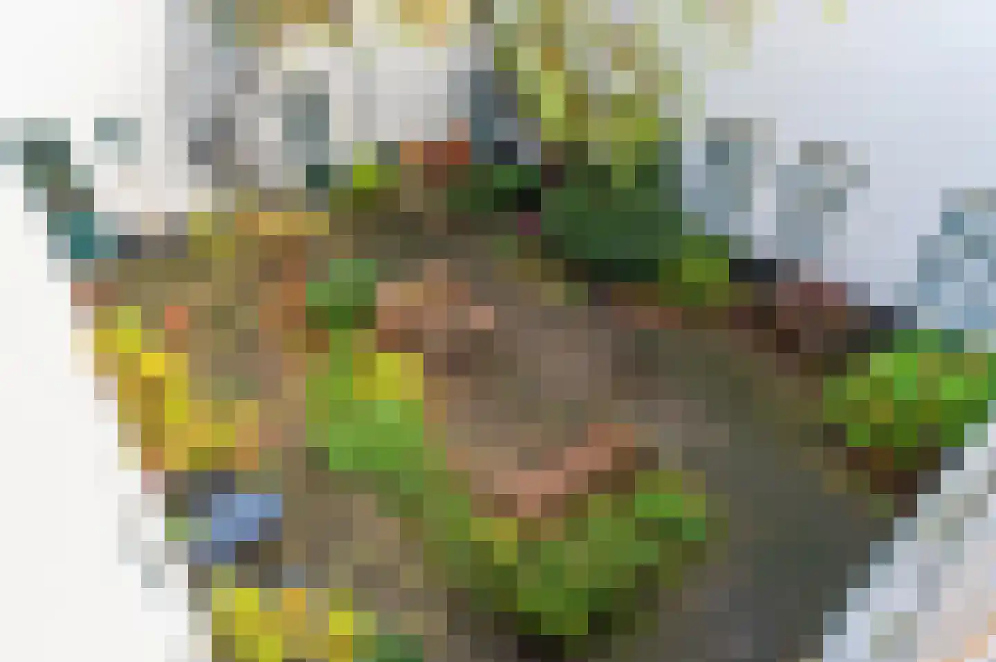Hooftskade 71 Den Haag thumbnail 38